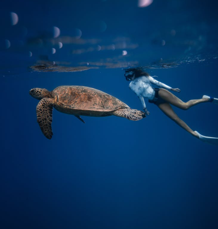 L'Importanza della Conservazione dei Mari e degli Oceani